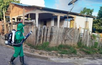 Brasil realiza neste sábado o Dia D de combate ao Aedes aegypti