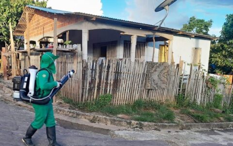 Brasil realiza neste sábado o Dia D de combate ao Aedes aegypti