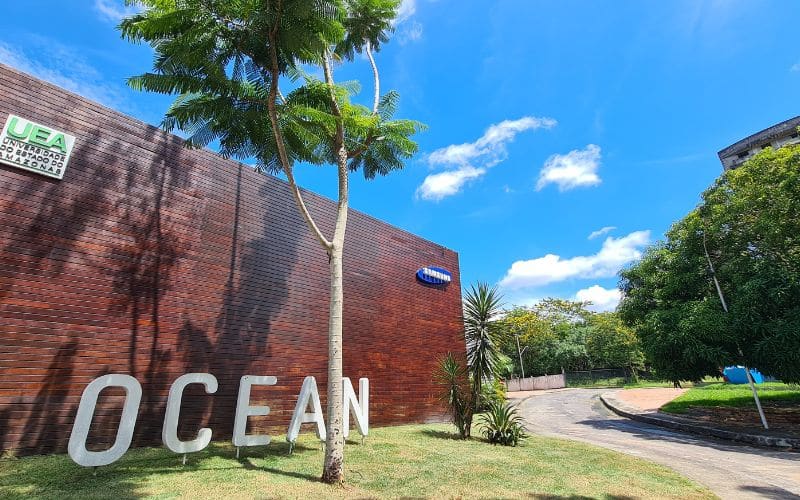 Samsung Ocean oferece aulas gratuitas sobre Programação em Manaus