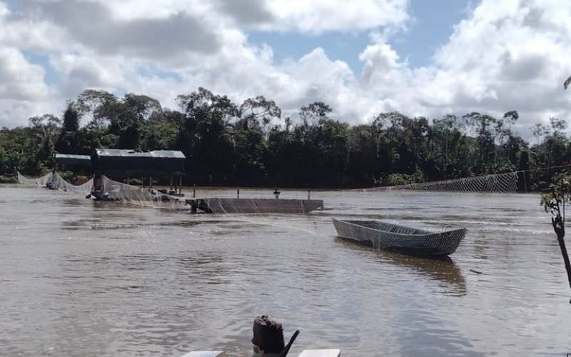 Base federal do Ibama sofre atentado de garimpeiros em terra Yanomami