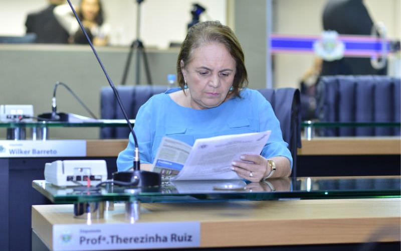 MPE aponta irregularidades em prestação de contas de Therezinha Ruiz