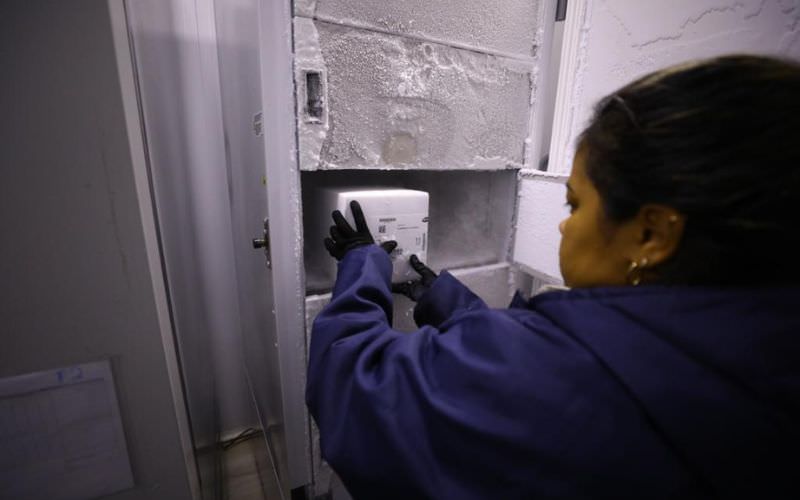 Amazonas recebe 1º lote de vacina bivalente da Pfizer.