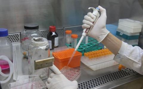 SUS estuda adoção de tratamento promissor contra câncer