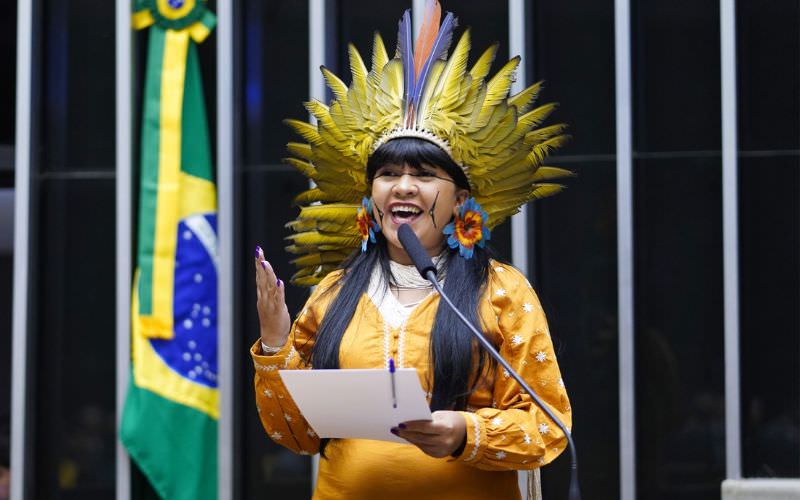 Deputada Célia Xakriabá assume Comissão da Amazônia e Povos Originários