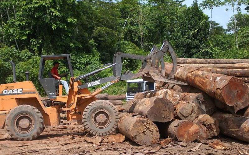 Amazonas é o terceiro em alerta de desmatamento, segundo Inpe