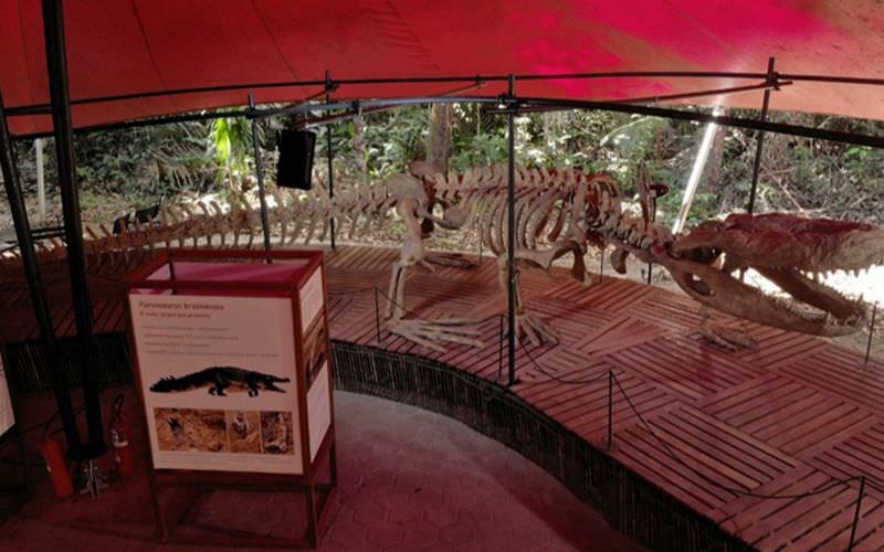 Musa reabre exposição sobre dinossauros em Manaus