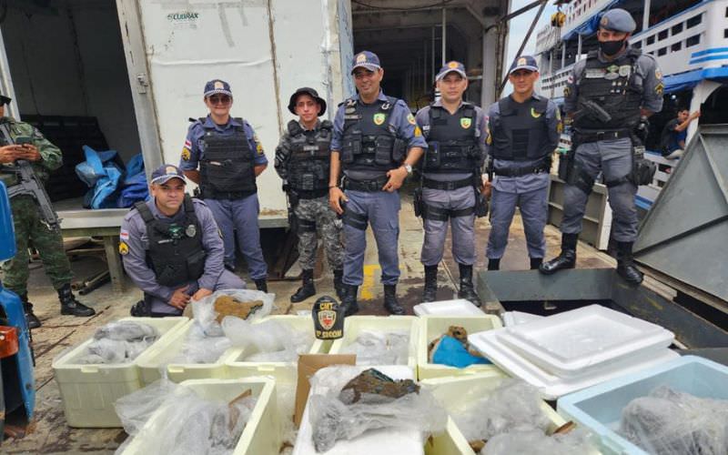 Pedras semipreciosas são apreendidas no Porto São Raimundo, em Manaus