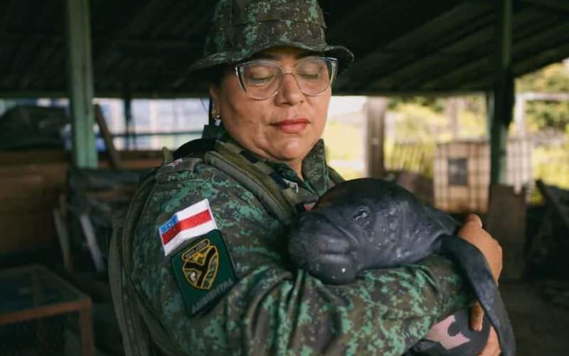 Em Parintins, Batalhão Ambiental resgata filhote de peixe-boi