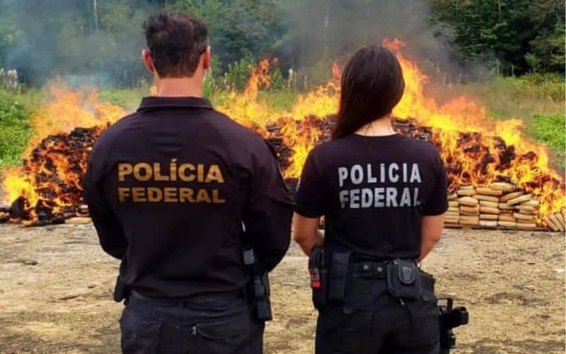 Droga avaliada em R$ 21 milhões é queimada no Amazonas
