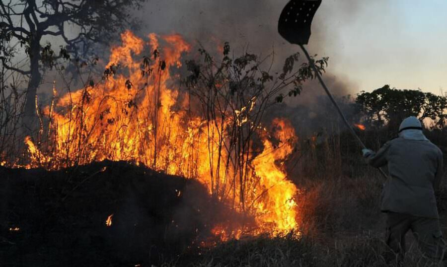 Amazônia é a principal região com focos de incêndio no 1º bimestre
