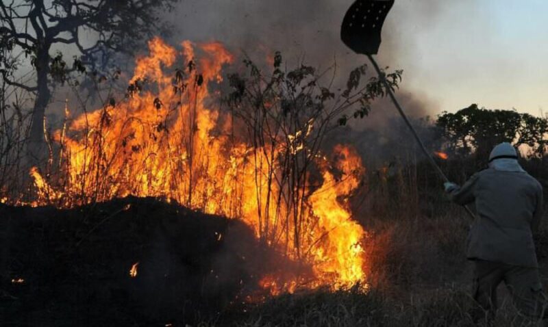 incêndio Amazônia