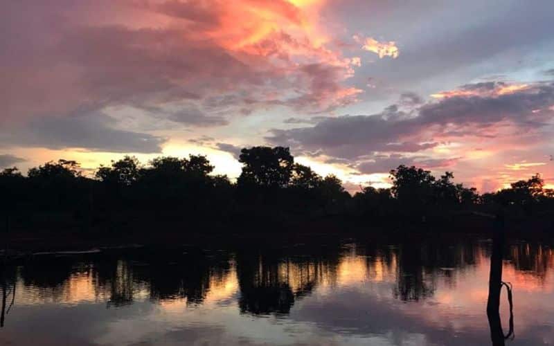 Por-do-dol-cerrado-antônio-cruz-agência-brasil