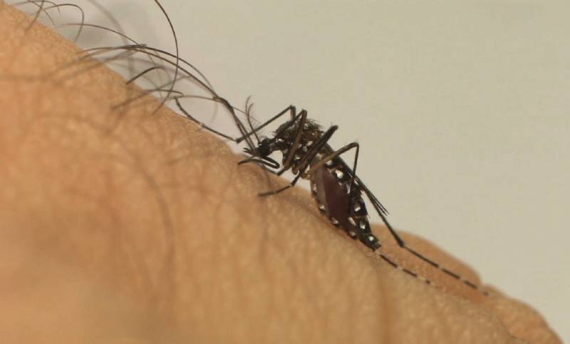 Amazonas registra mais de 6 mil casos e 5 mortes por dengue em 2023