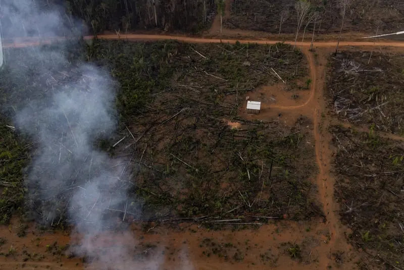 Prefeitos vão a Brasília pedir apoio contra ação de madereiros no sul do Amazonas