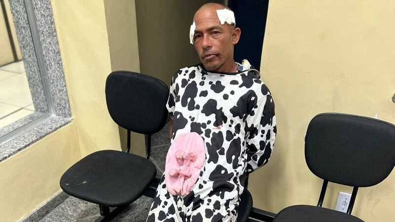 Homem fantasiado de vaca é preso por tentativa de furto no RJ