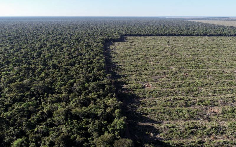 MPF obtém na Justiça mais de R$ 316 milhões em indenização por desmatamentos ilegais