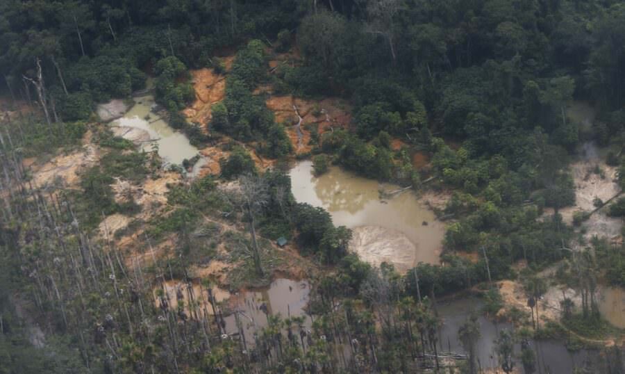 Comitiva do governo vai apurar invasão de garimpeiros em TI  Yanomami