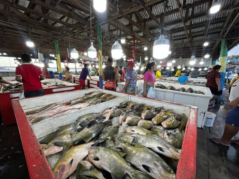 Vendas de peixes em feiras de Manaus serão fiscalizadas até domingo