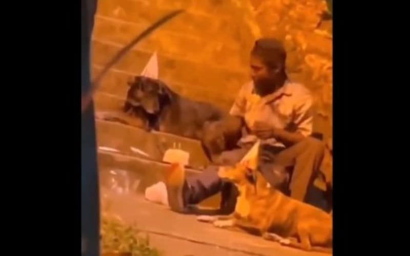 Solitário, homem em situação de rua comemora aniversário com cães