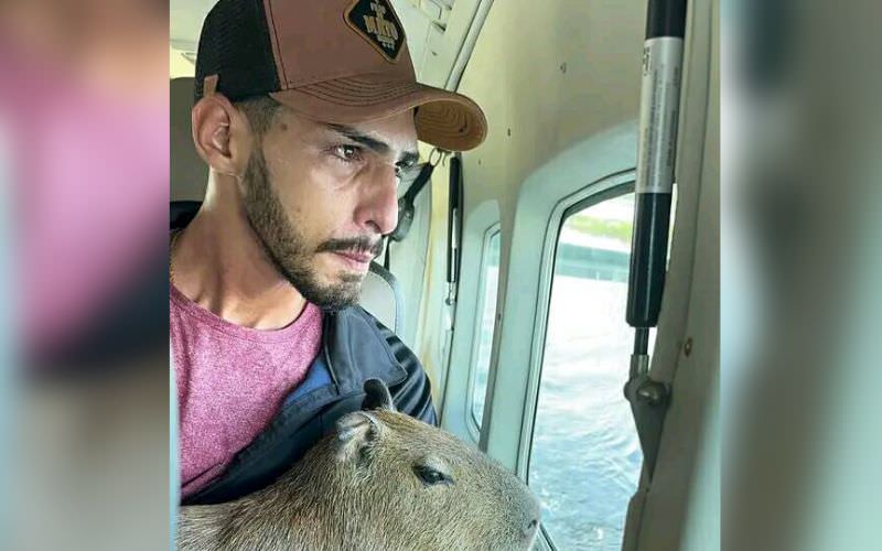 Agenor Tupinambá entregou a capivara Filó ao Ibama (Foto: Reprodução/Redes Sociais)