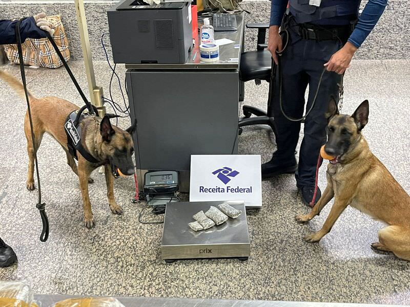 A Equipe K9 da Receita Federal em Manaus realizou, no feriado e final de semana, operações de combate ao contrabando e descaminho no Aeroporto Internacional Eduardo Gomes e no Centro de Tratamento de Cartas e Encomendas (CTCE) dos Correios