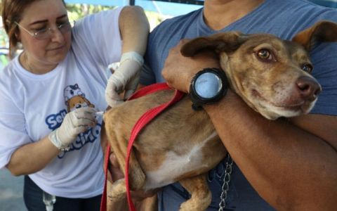 Governo suspende oito lotes de vacina animal contra Leishmaniose
