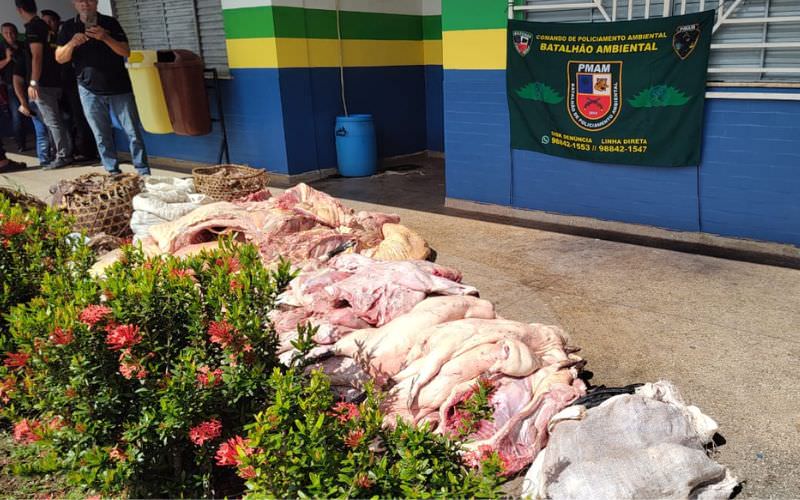 Carne de animais silvestres eram vendidas em feira de Coari, no Amazonas (Foto: PC-AM/Divulgação)