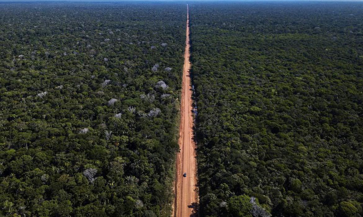 BR-319: aval para obras depende do controle do desmatamento, afirma Ibama