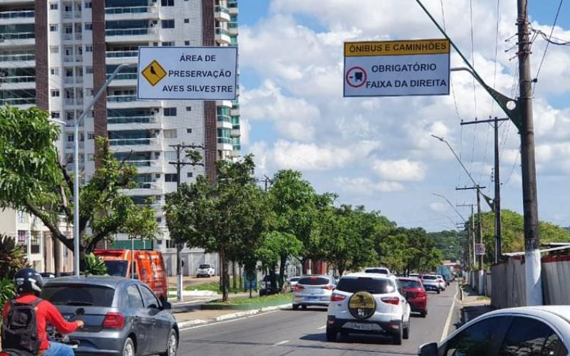interdição