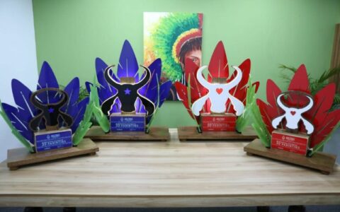 Justiça determina a troca de três jurados do 56º Festival Folclórico de Parintins