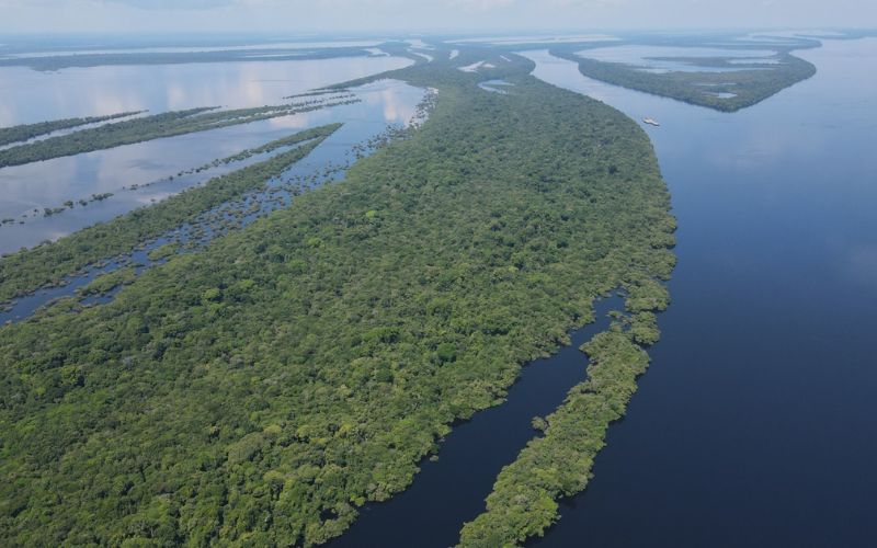 Amazonas tem queda de 64% no desmatamento em 2023, diz Marina