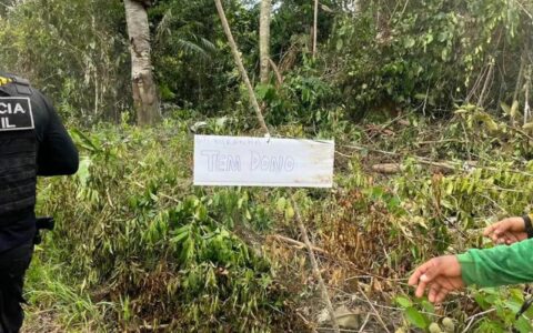TJAM suspende ordem de desocupação em área de preservação em Careiro