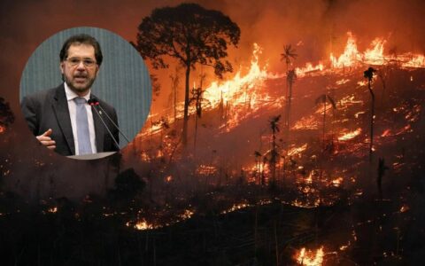 Ambientalista e especialista reagem às críticas de Plínio sobre a COP em Belém