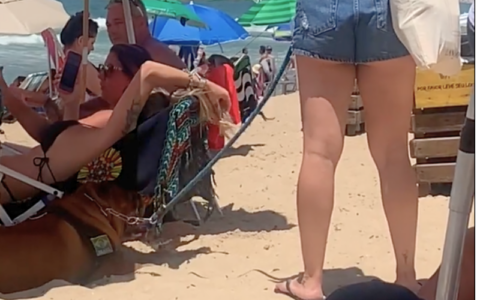 Mulher faz cachorro andar sobre areia de praia em sol de rachar os pés