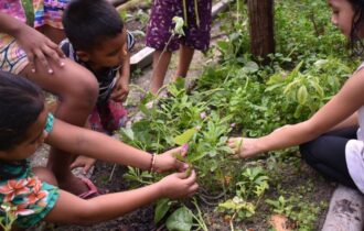 Coletivo Arte e Escola na Floresta promove atividades lúdicas e agroecológicas para crianças