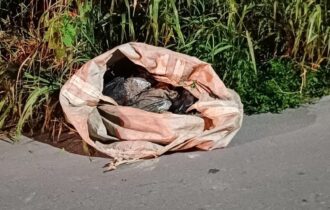 Corpo esquartejado é encontrado dentro de saco em Manaus