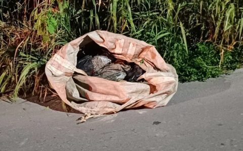 Corpo esquartejado é encontrado dentro de saco em Manaus