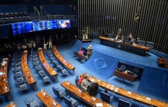 CPI das ONGs no Senado Federal (Foto: Jonas Pereira/Agência Senado)