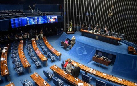 CPI das ONGs no Senado Federal (Foto: Jonas Pereira/Agência Senado)