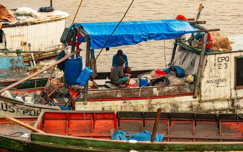 Exploração de petróleo assombra pescadores da foz do Amazonas