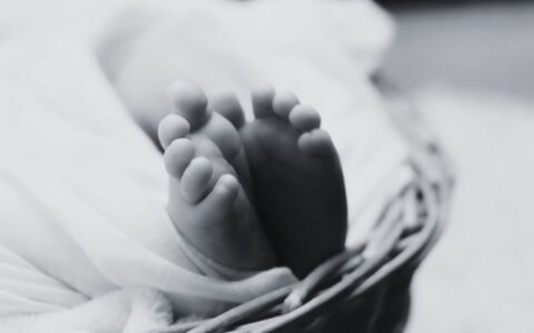 Pit bull da família mata bebê de quatro meses