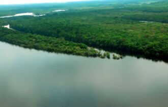 STF realiza experiência imersiva na Amazônia no mês do meio ambiente