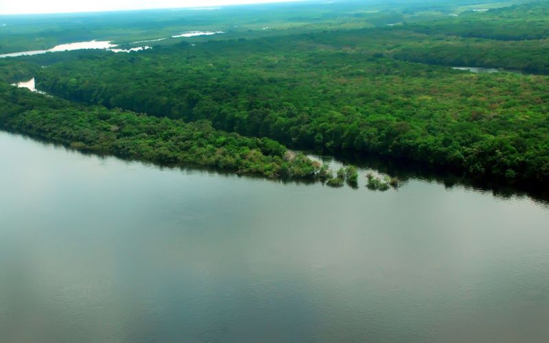 Violência e custos limitam reportagens sobre a Amazônia