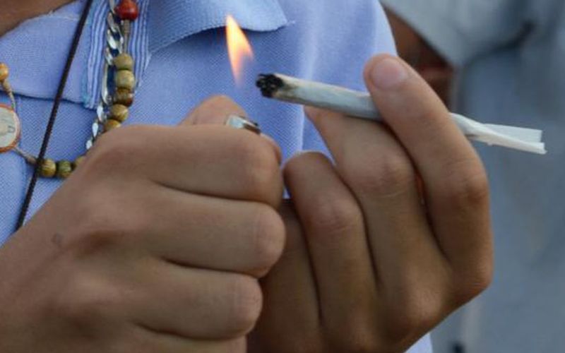 maconha
