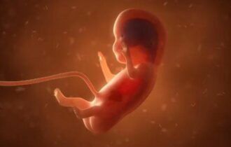 PL do aborto atinge 3,1 milhões de visualizações em dois dias no site da Câmara