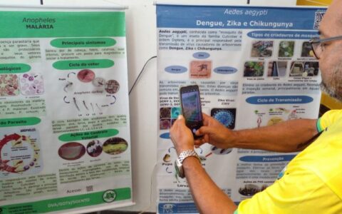 FVS promove ação contra doenças causadas pelo mosquito Aedes Aegypti