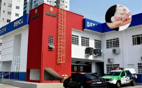 Mãe é denunciada por suspeita de tentar vender bebê em Manaus
