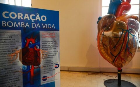 Internações por infarto aumentam mais de 150% no Brasil