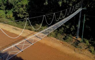 Passagem superior para primatas atravessarem via é instalada na BR-319