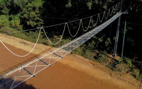 Passagem superior para primatas atravessarem via é instalada na BR-319